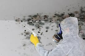 Best Mold Documentation for Insurance Claims  in Charlotte Hall, MD